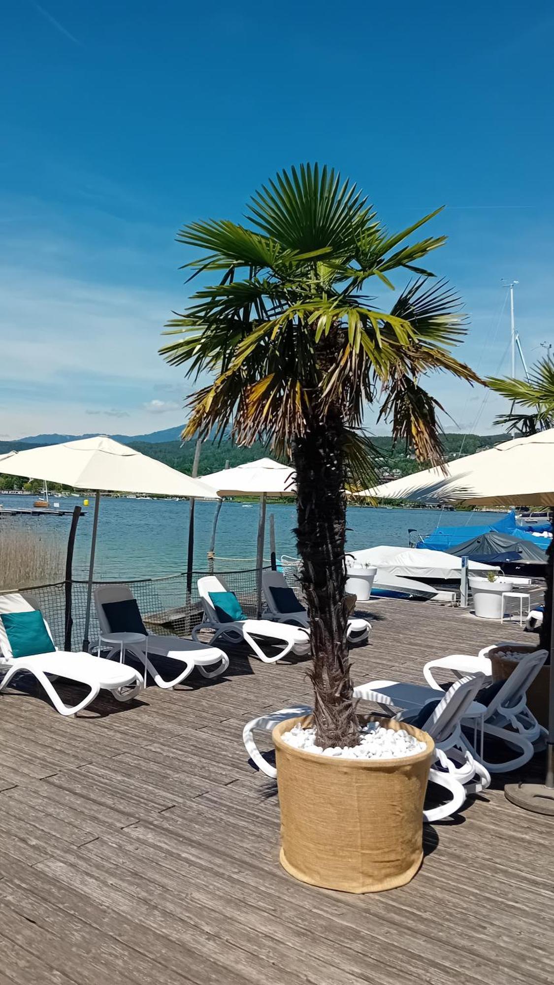 Tennis & Yacht Hotel Velden フェルデン・アム・ヴェルターゼー エクステリア 写真